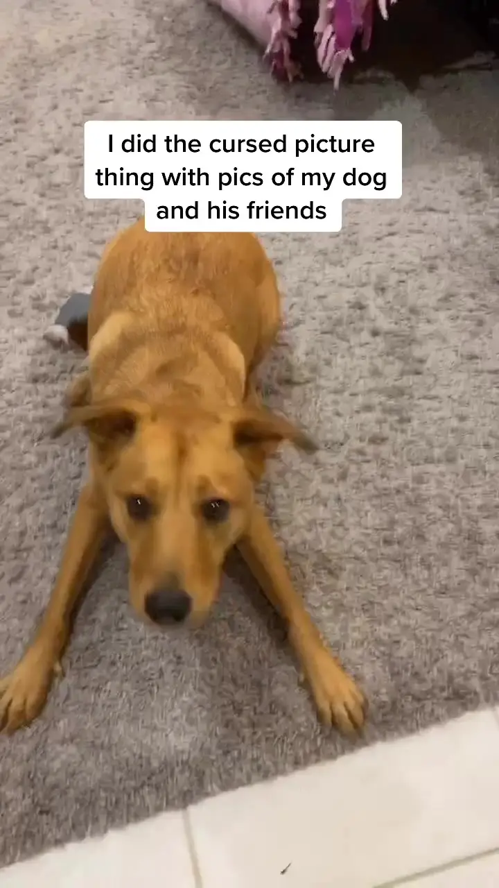 Tiktok post preview 3 from @kendylblakeney