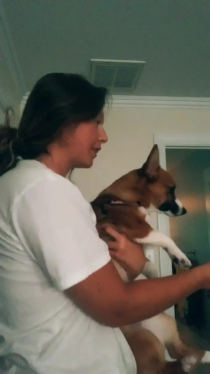 Tiktok post thumbnail