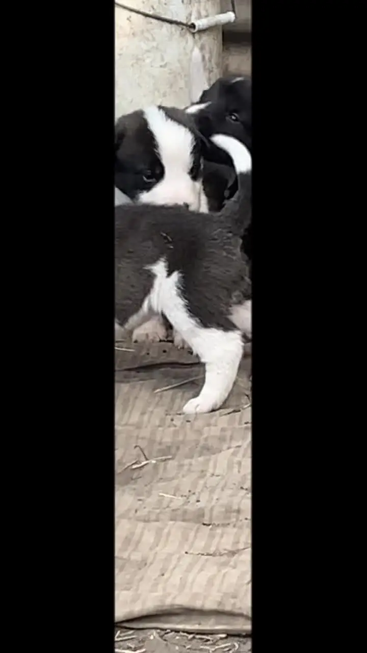 Tiktok post thumbnail