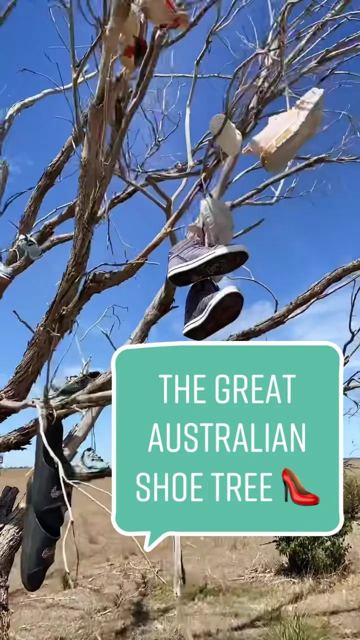 Tiktok post preview 2 from @gawnedsgapyear