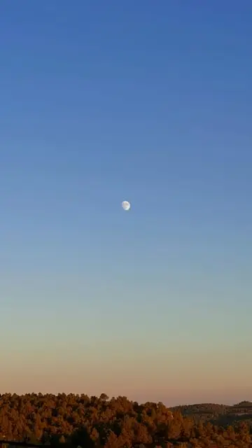 Instagram post thumbnail