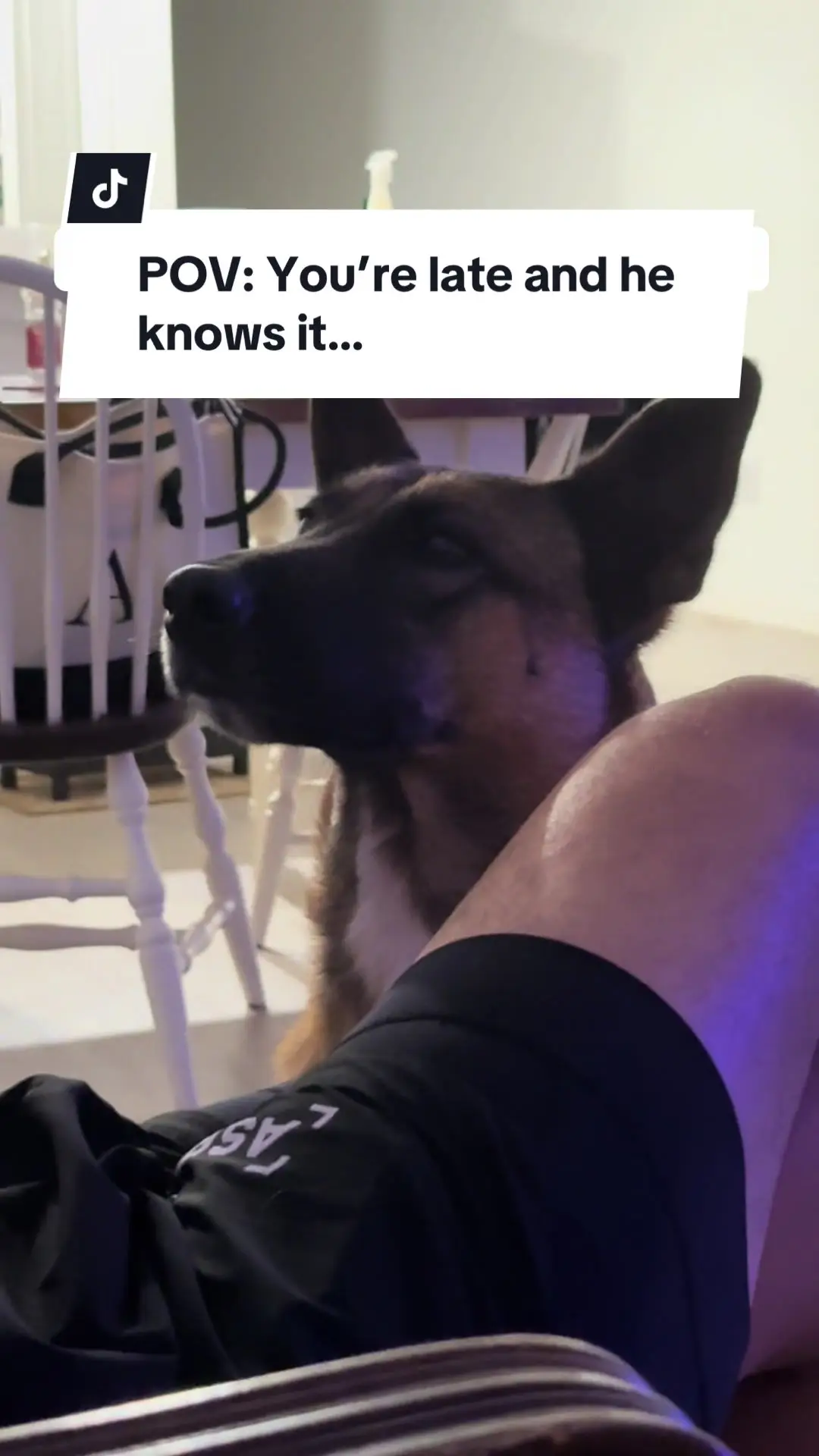 Tiktok post preview 1 from @ariel.morin