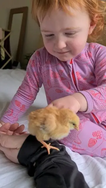 Instagram post thumbnail