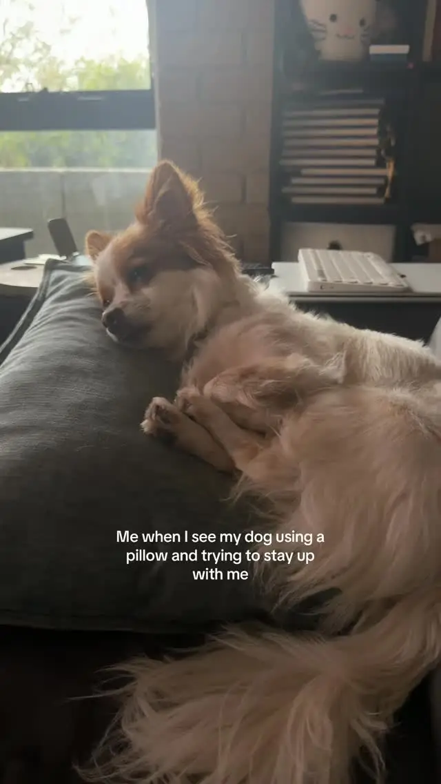 Instagram post thumbnail