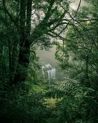 Instagram post thumbnail