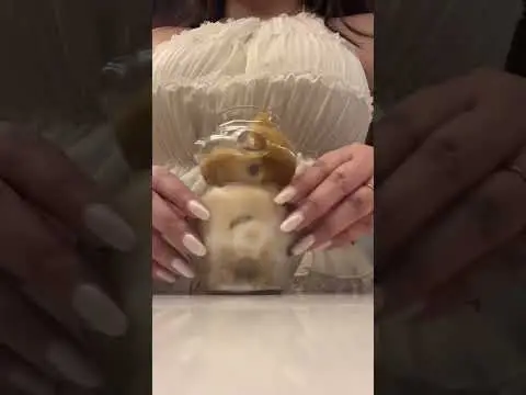 Youtube post preview 2 from UCIGXa1LLf8HXLjmyuzW7Jyg