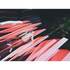 Instagram post thumbnail