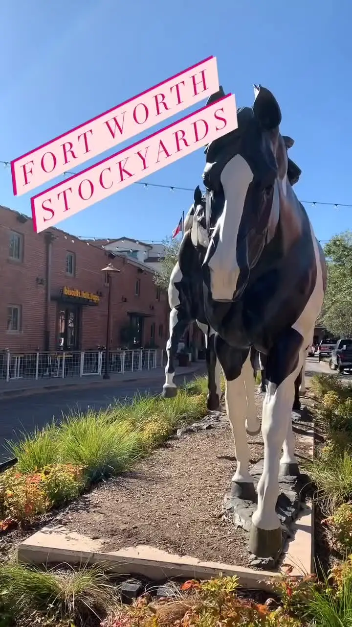 Tiktok post preview 2 from @cowboyslifeblog