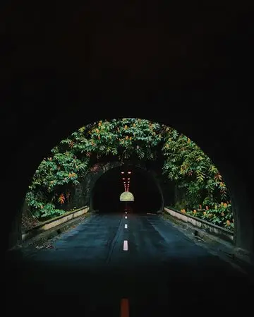 Instagram post thumbnail