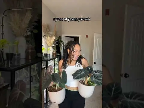 Youtube post thumbnail