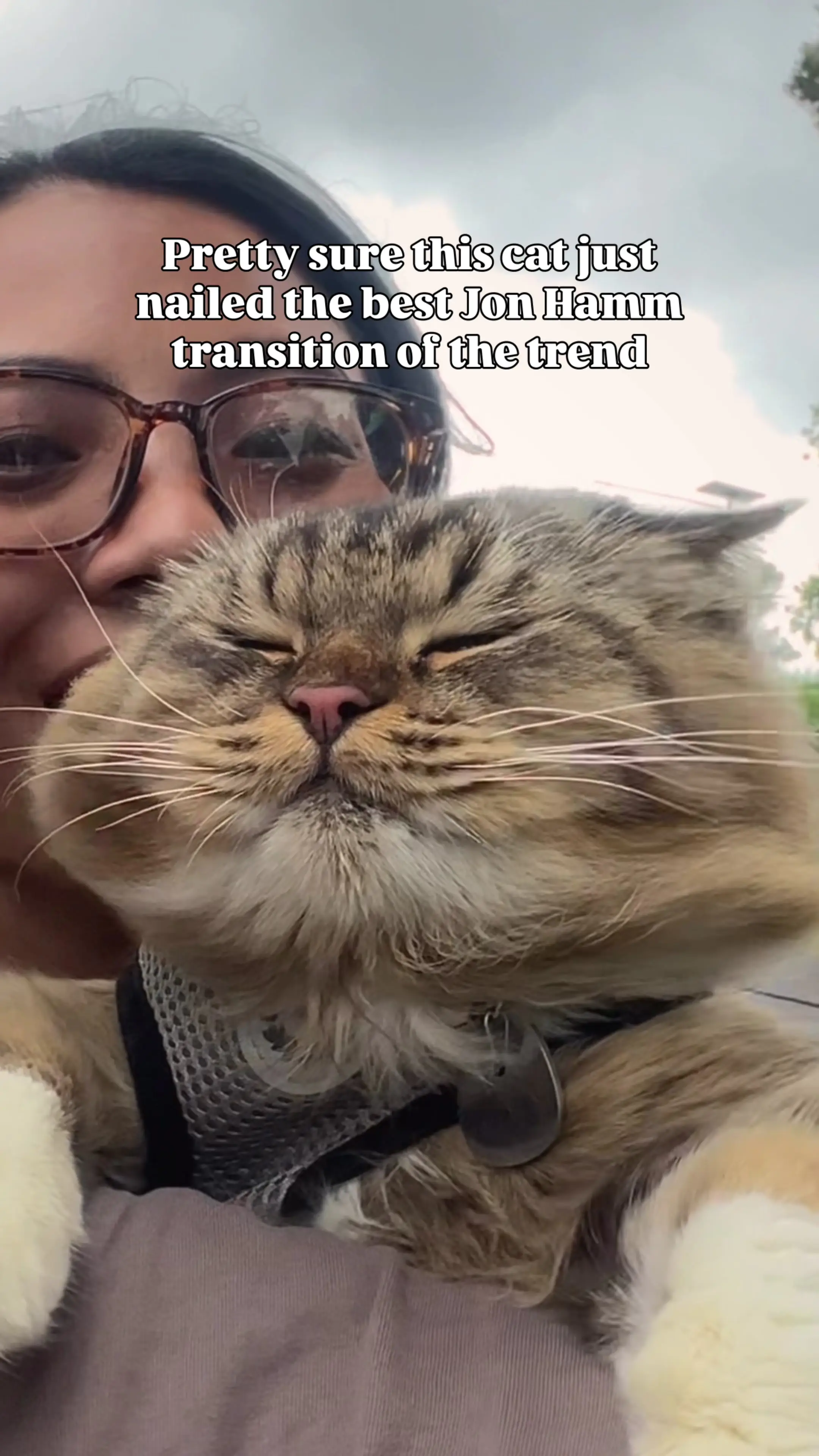 Tiktok post preview 3 from @misterrpuss