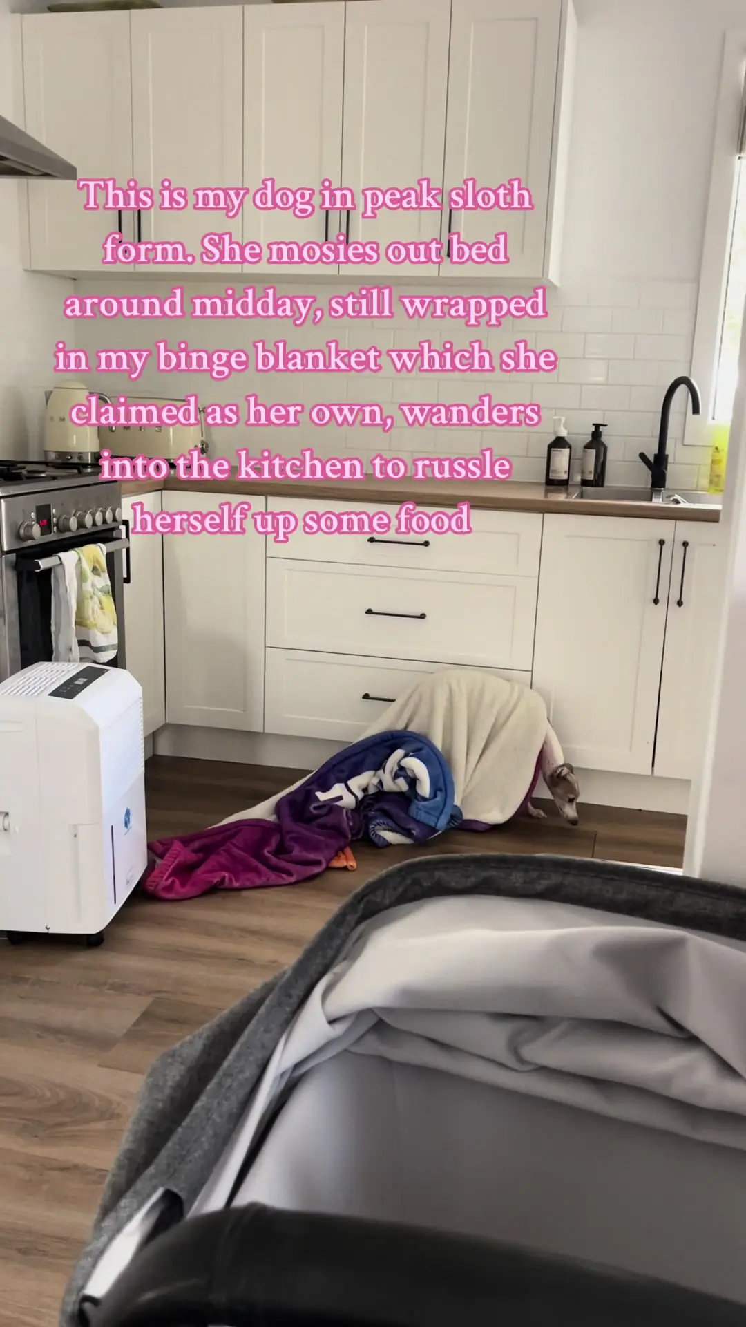 Tiktok post preview 3 from @laviniagracewhite