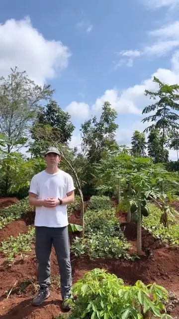 Instagram post thumbnail