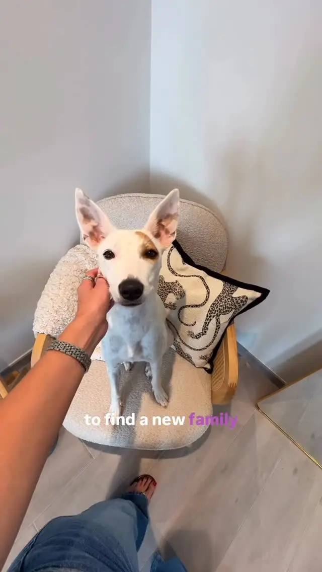 Instagram post thumbnail