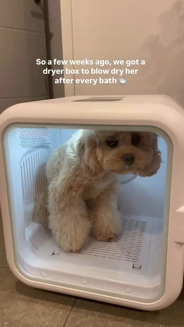 Instagram post thumbnail