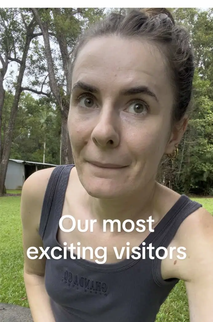 Tiktok post preview 3 from @ruralrache