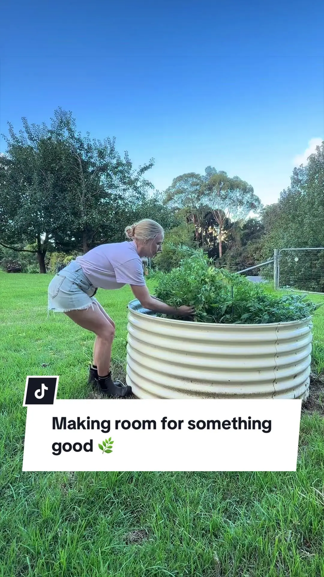 Tiktok post preview 2 from @breegrowsfood