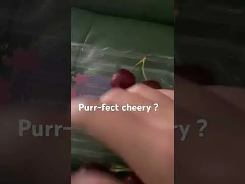 Youtube post preview 3 from UC5QvpOQrHKYD1DW_4jmuOJg
