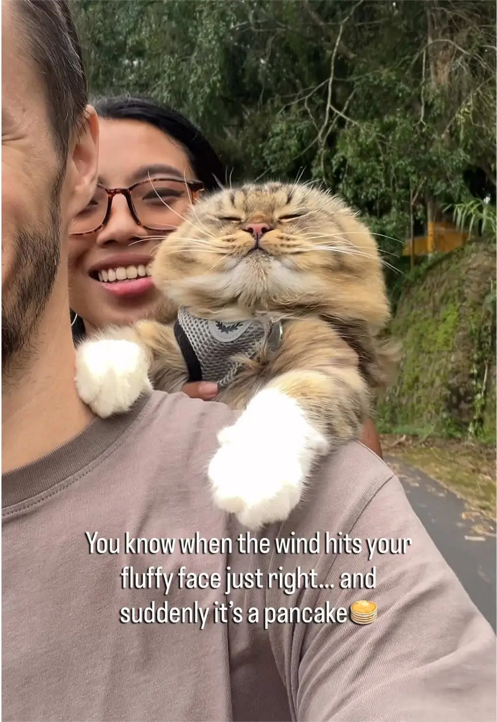 Tiktok post preview 1 from @misterrpuss