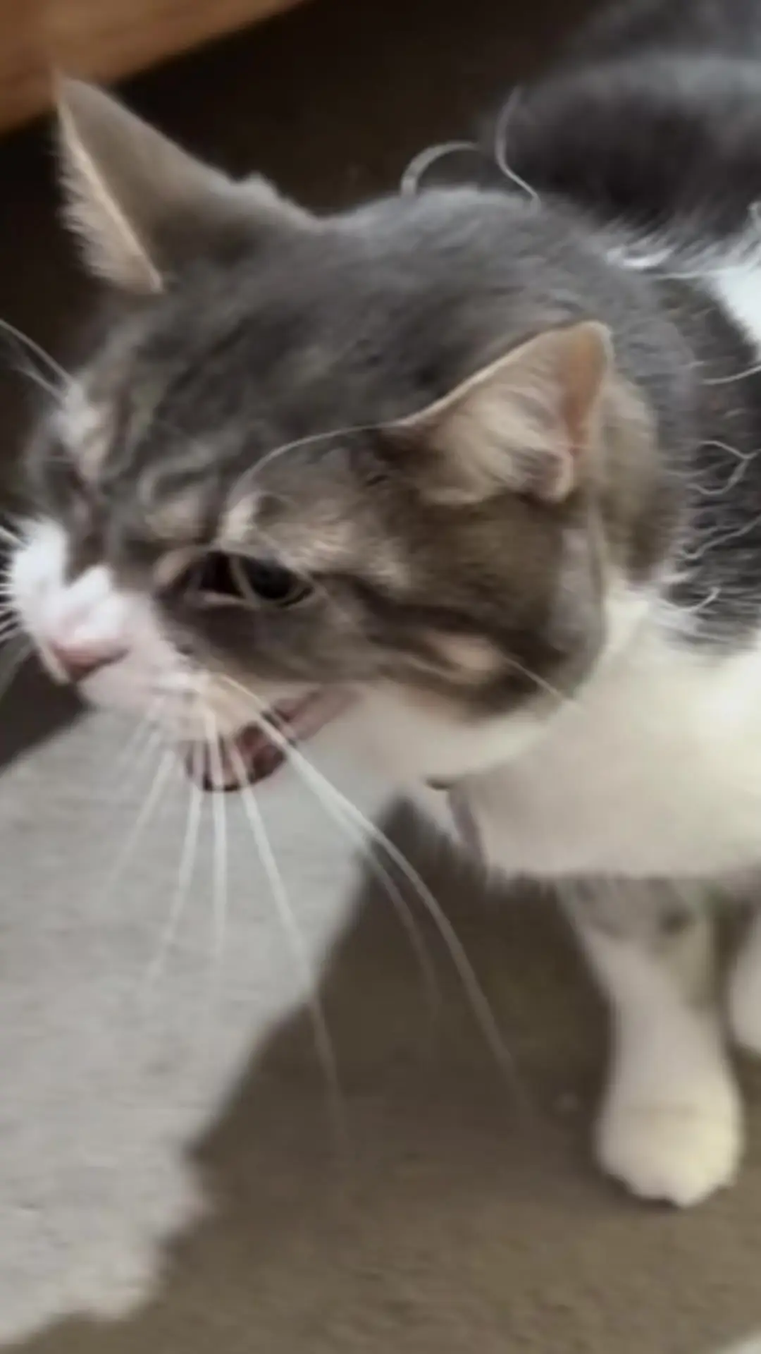 Tiktok post thumbnail
