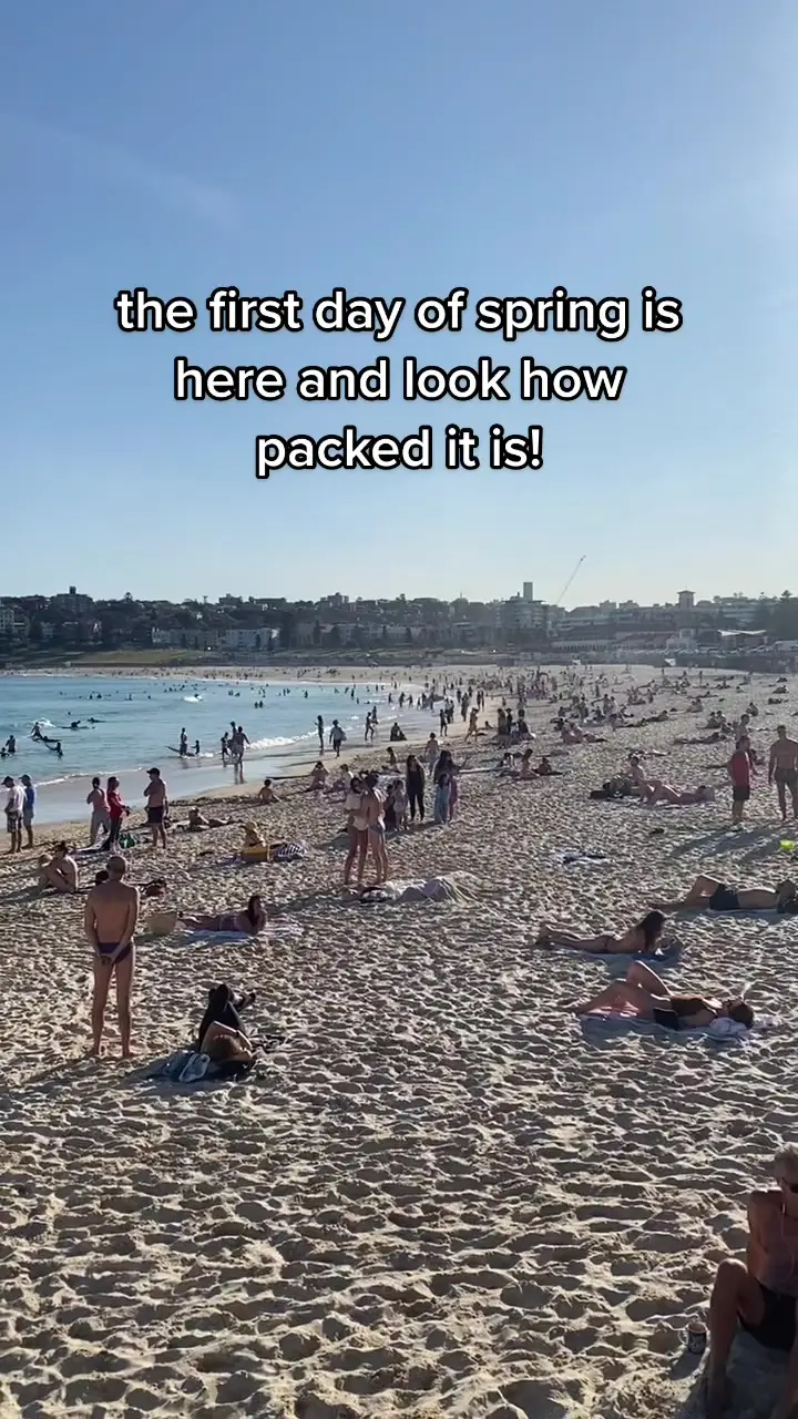 Tiktok post preview 2 from @zaccoonan