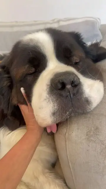 Instagram post thumbnail