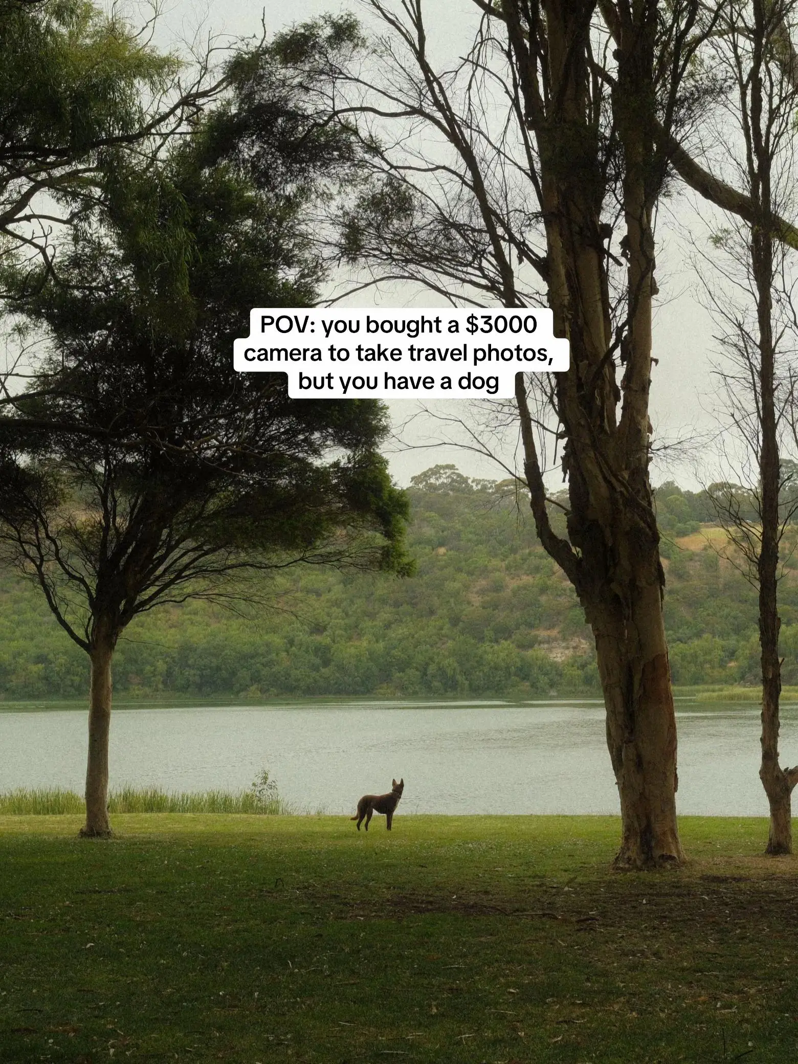 Tiktok post preview 2 from @annaliseandtilly