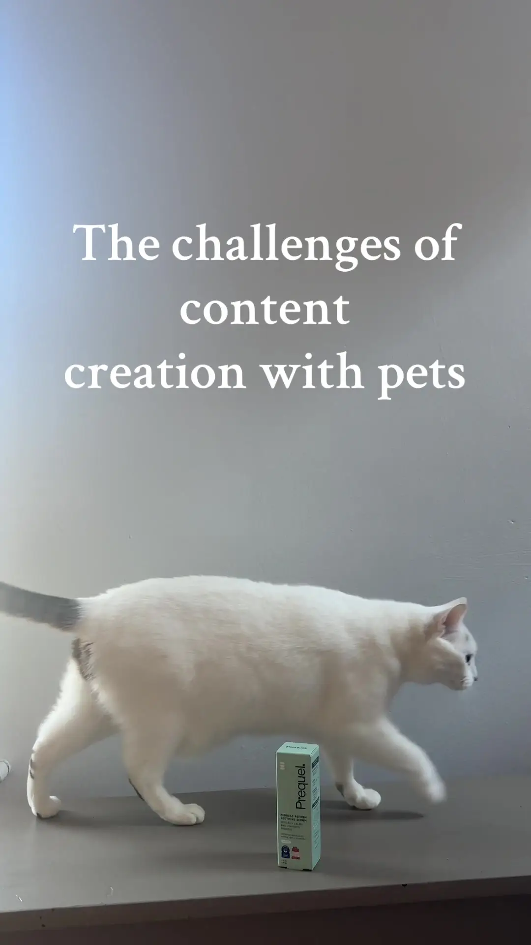 Tiktok post thumbnail