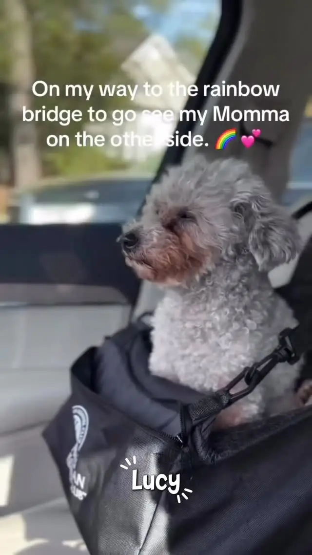 Instagram post thumbnail