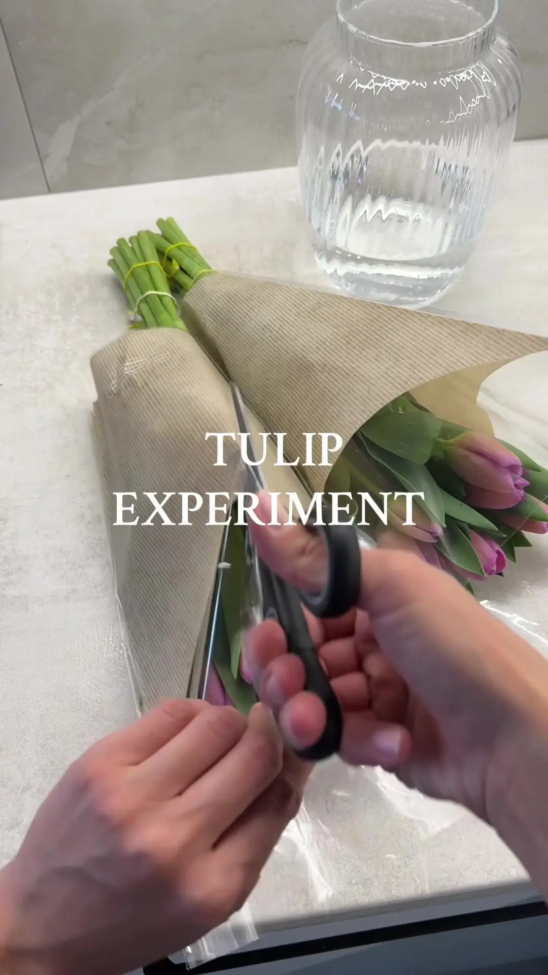 Tiktok post preview 2 from @nstmrvl