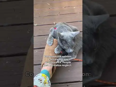 Youtube post preview 2 from UCB3Tg2iozTjF_LJRVmSv8rA