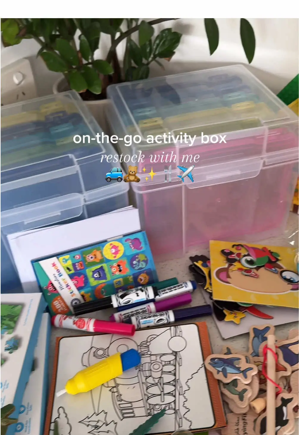 Tiktok post preview 2 from @the.mum.coachh
