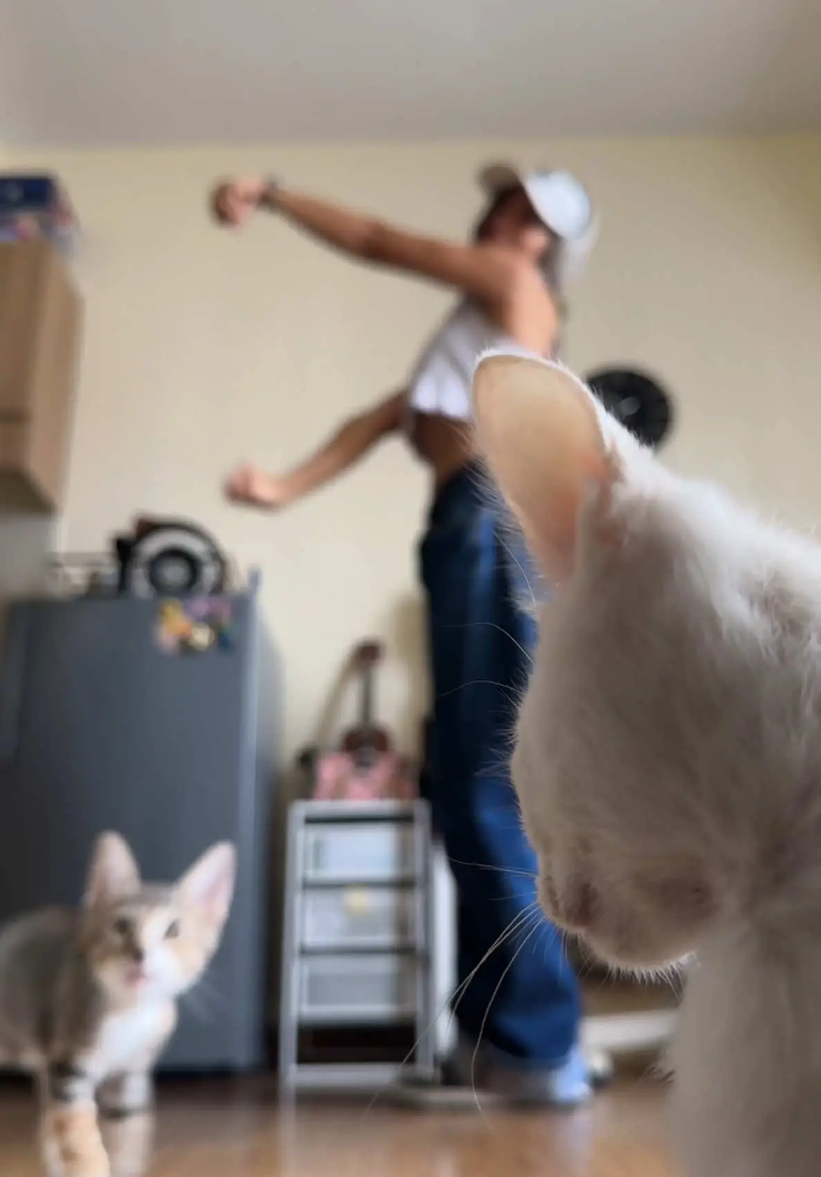 Tiktok post thumbnail