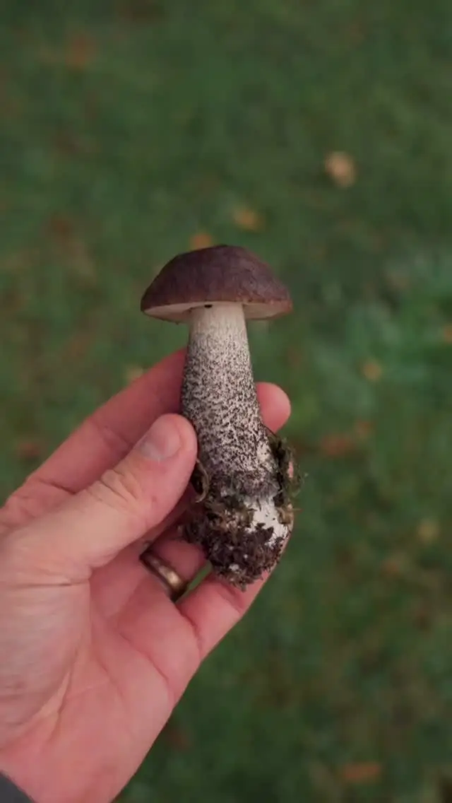 Instagram post thumbnail