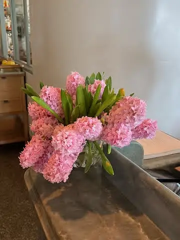 Instagram post preview 1 from isheridan