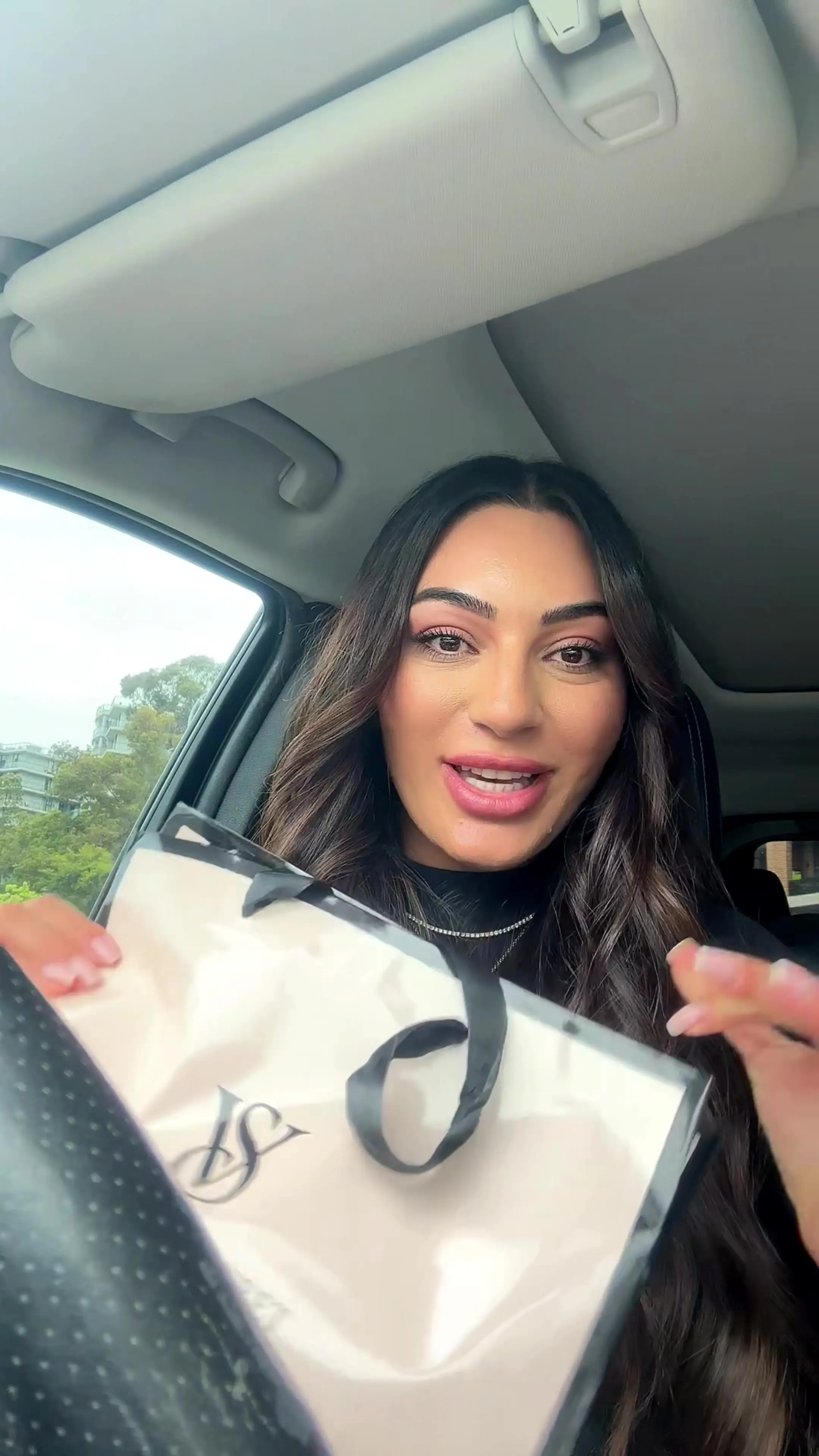 Tiktok post preview 2 from @danielle.maassarani