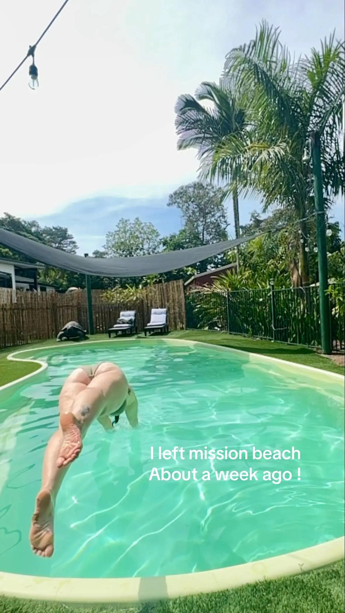 Tiktok post preview 2 from @fnq_water_fairy