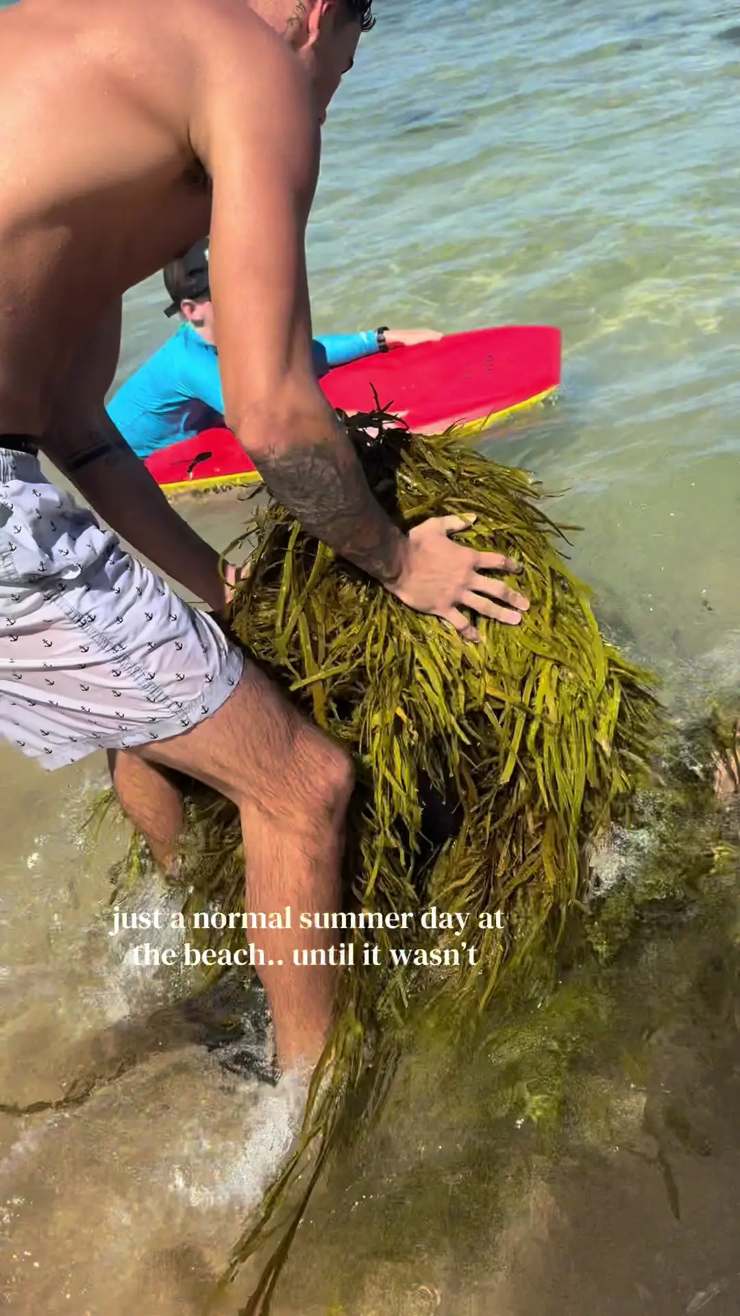 Tiktok post preview 2 from @notlunaapril