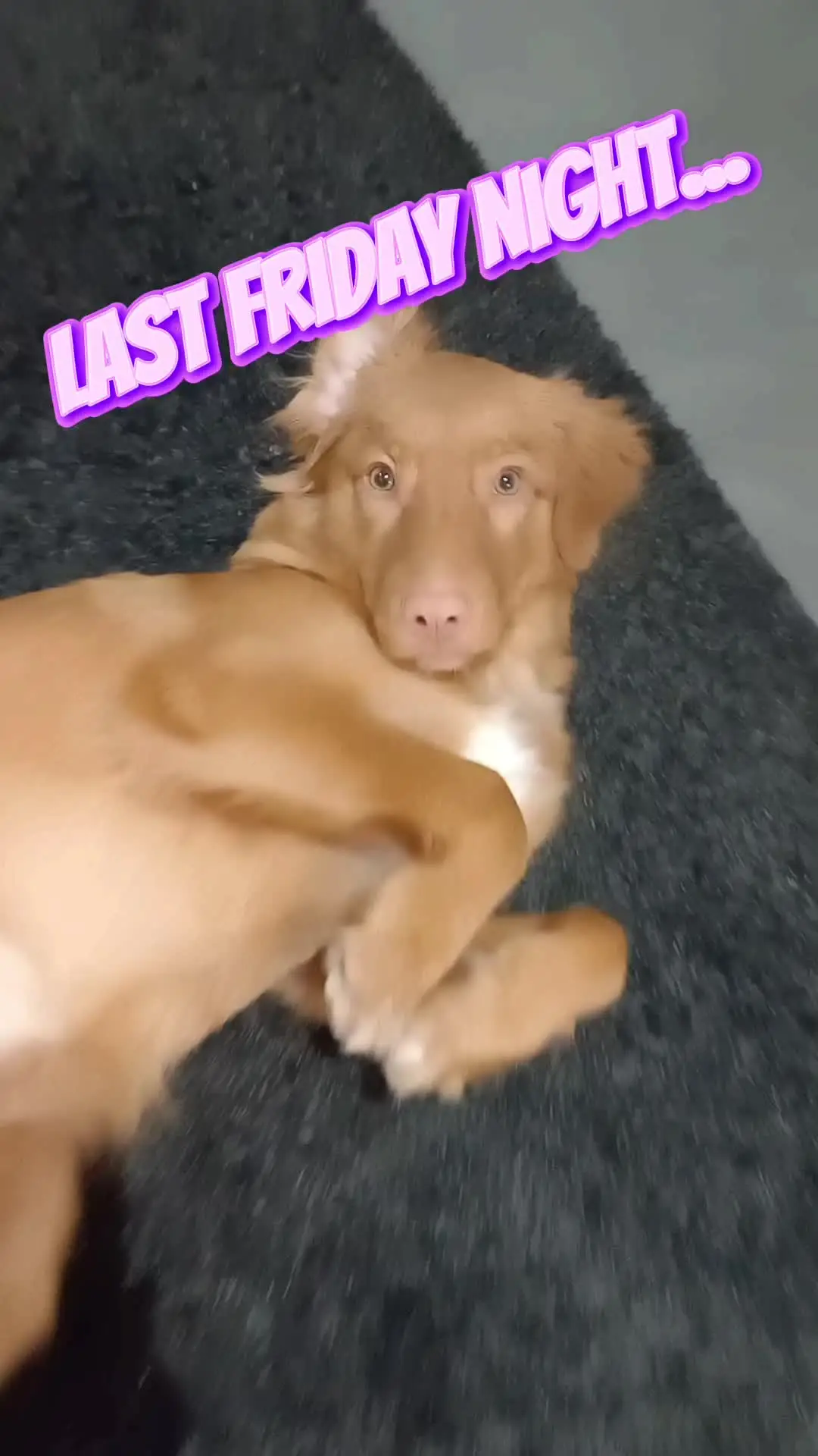 Tiktok post thumbnail