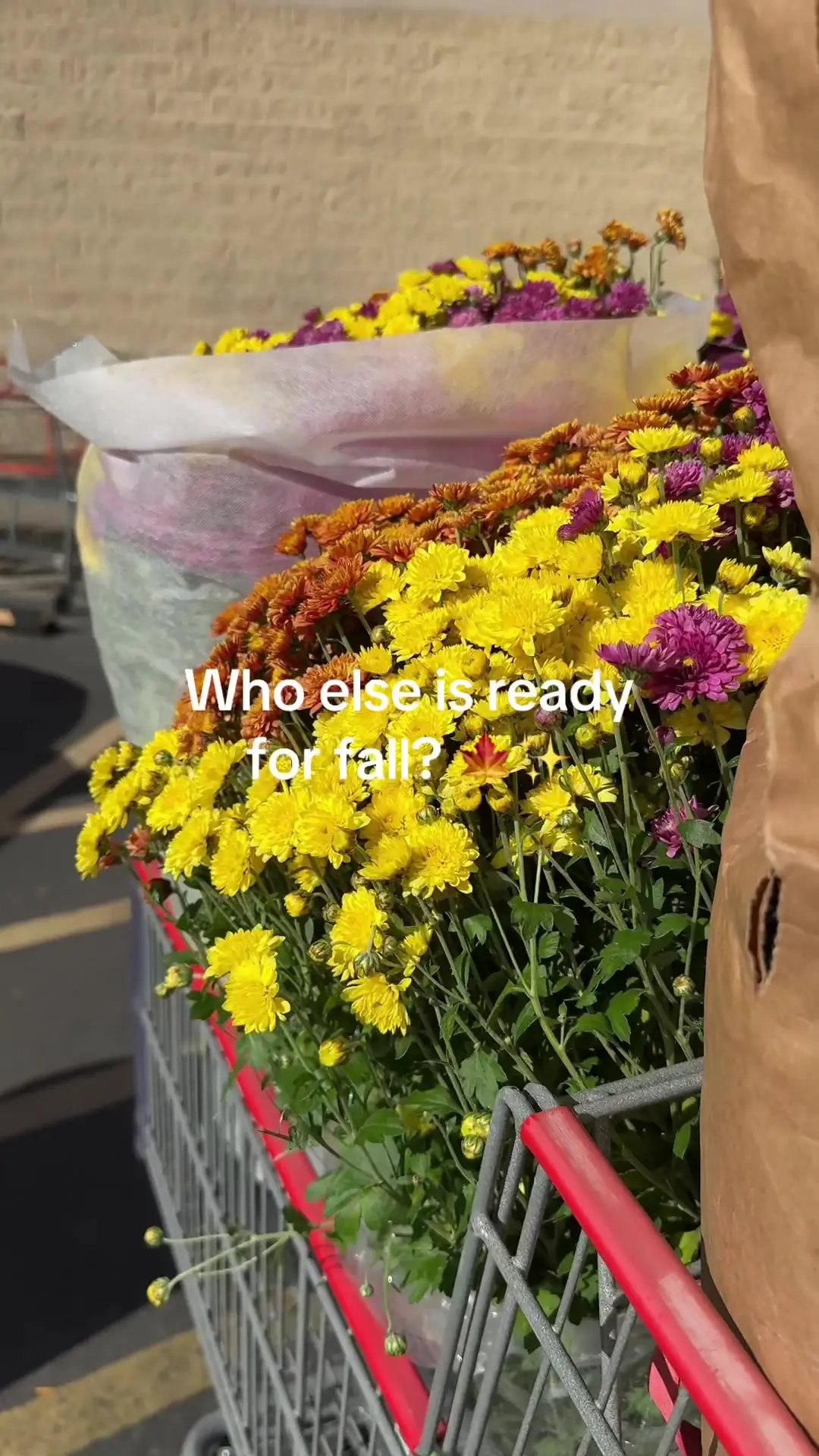 Tiktok post preview 1 from @regan_ugc