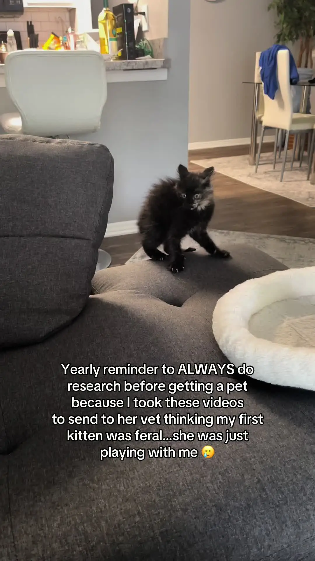 Tiktok post thumbnail