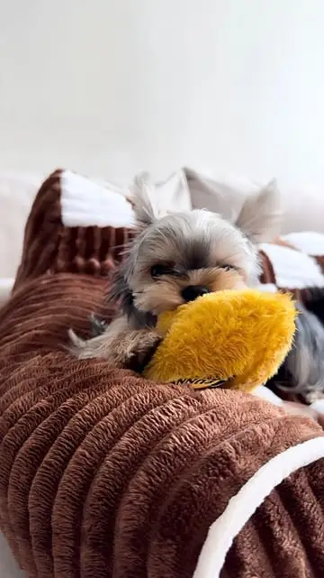 Instagram post preview 3 from djjjigee