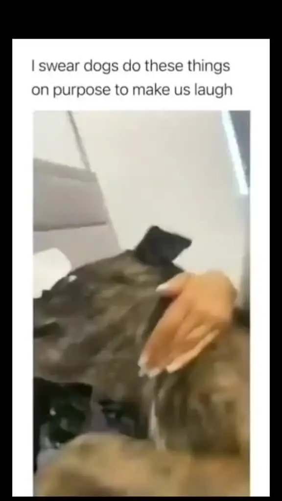 Tiktok post preview 2 from @thrivewithmurphy