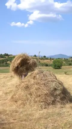 Instagram post thumbnail