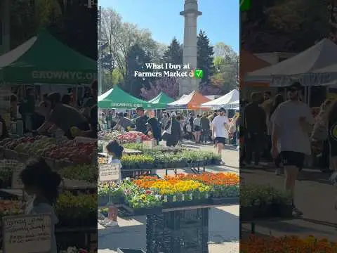 Youtube post preview 2 from UCLHAD48iOHhEsoqug917D_A