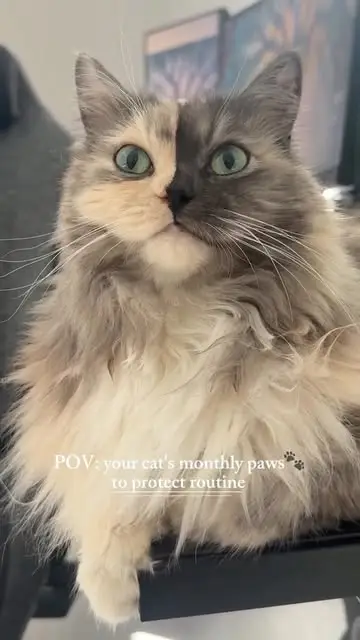 Instagram post preview 3 from geri.cat