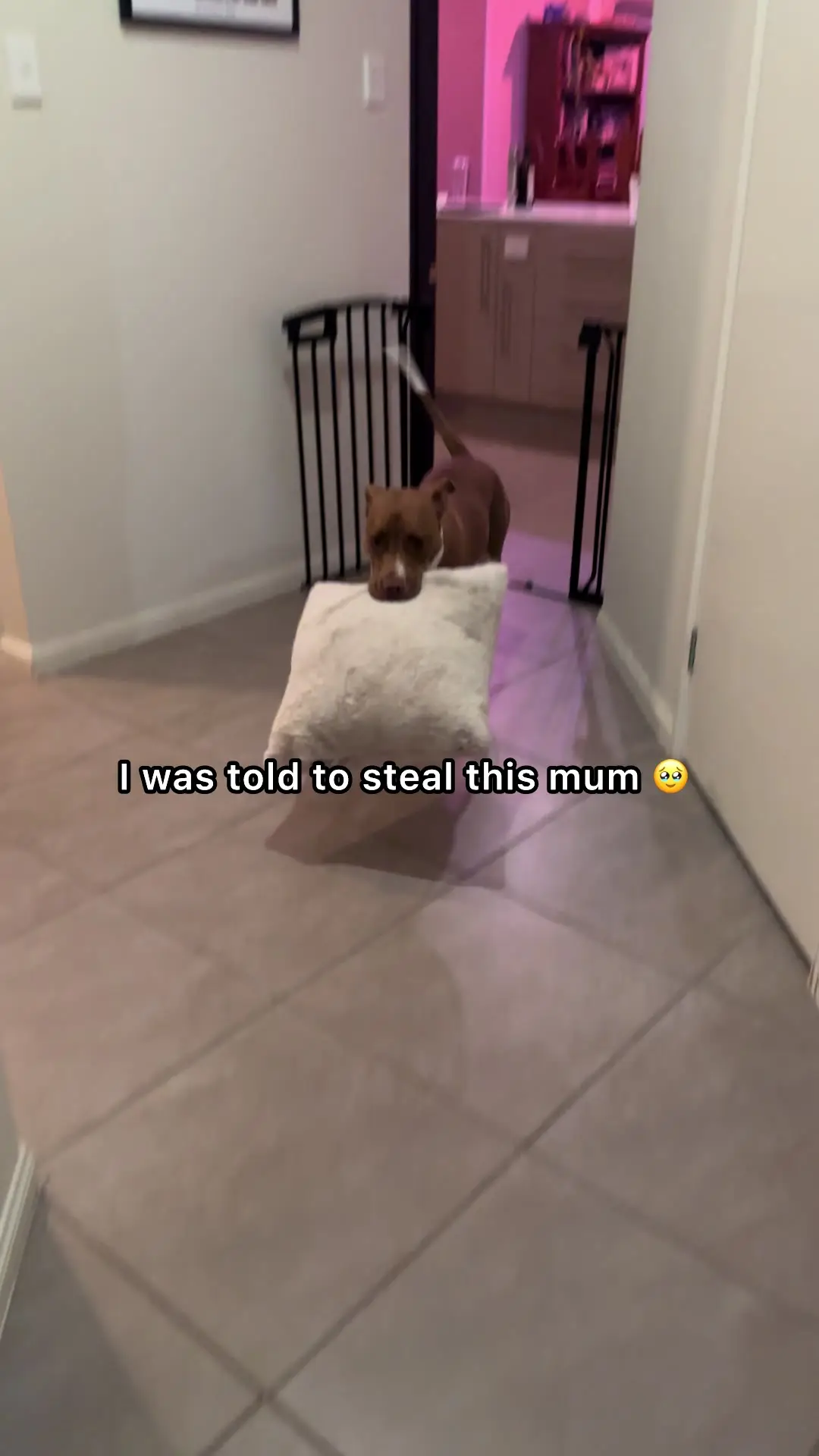 Tiktok post thumbnail