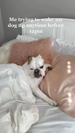 Instagram post thumbnail