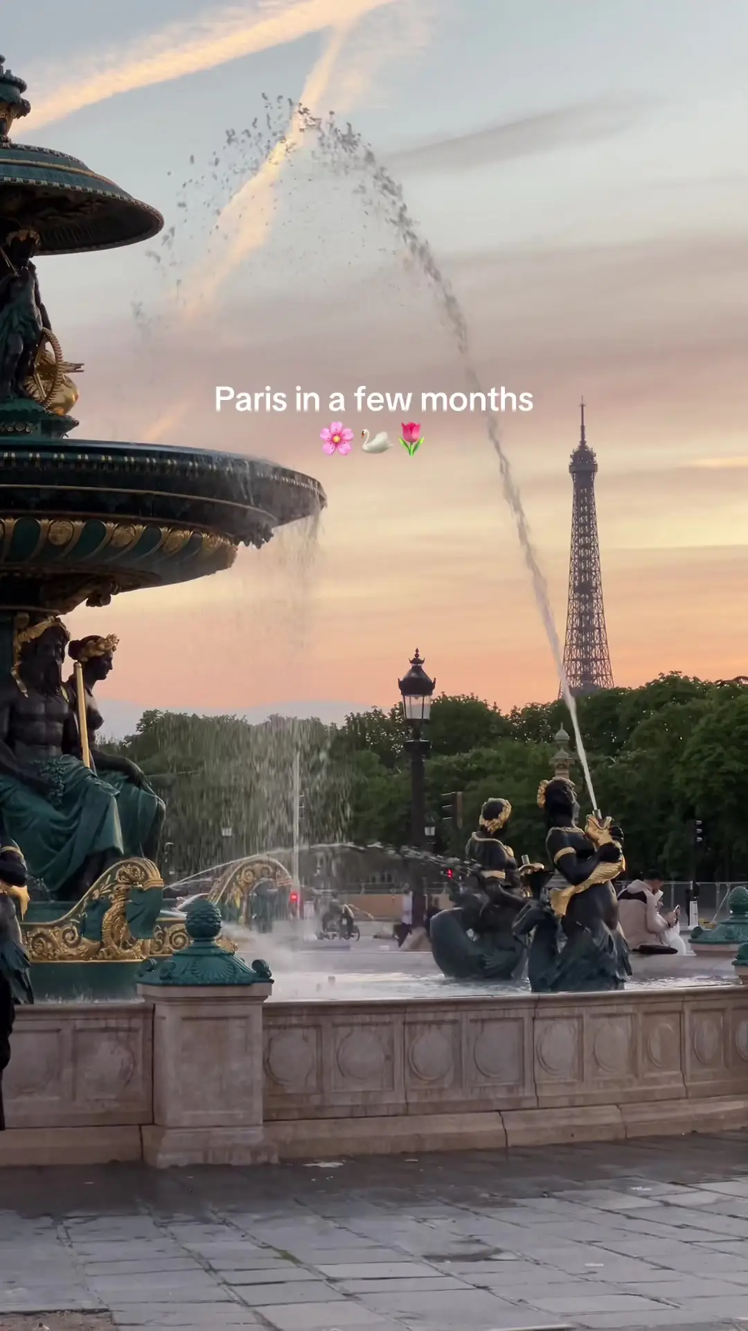 Tiktok post preview 3 from @unlimitedpassport
