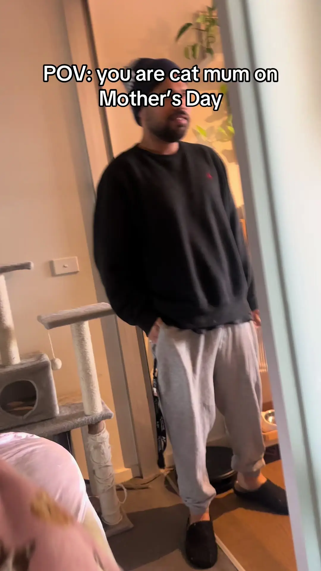 Tiktok post preview 2 from @crazycatladytay